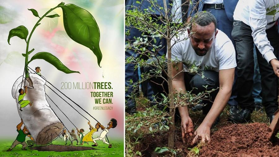 Ethiopian government reforestation plan advertisement 