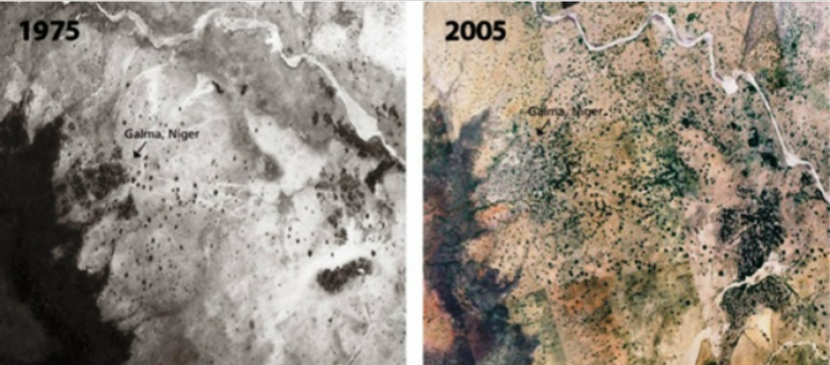 Photos from the space 1975 and 2005 to see the greening of the desertic lands.